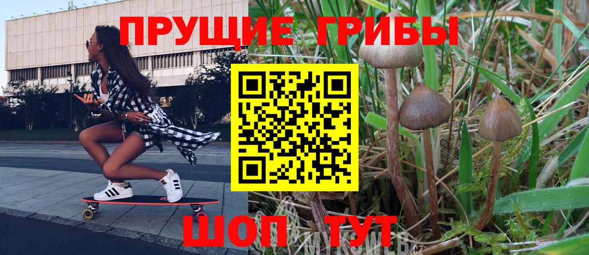 Псилоцибиновые грибы прущие грибы  Вход с VPN  Воскресенск 